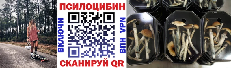 Галлюциногенные грибы MAGIC MUSHROOMS  Якутск 